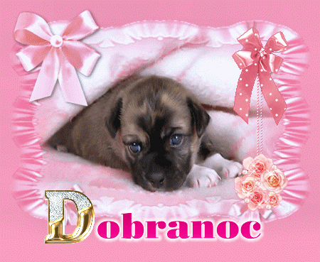 Piesek w kocyku Dobranoc